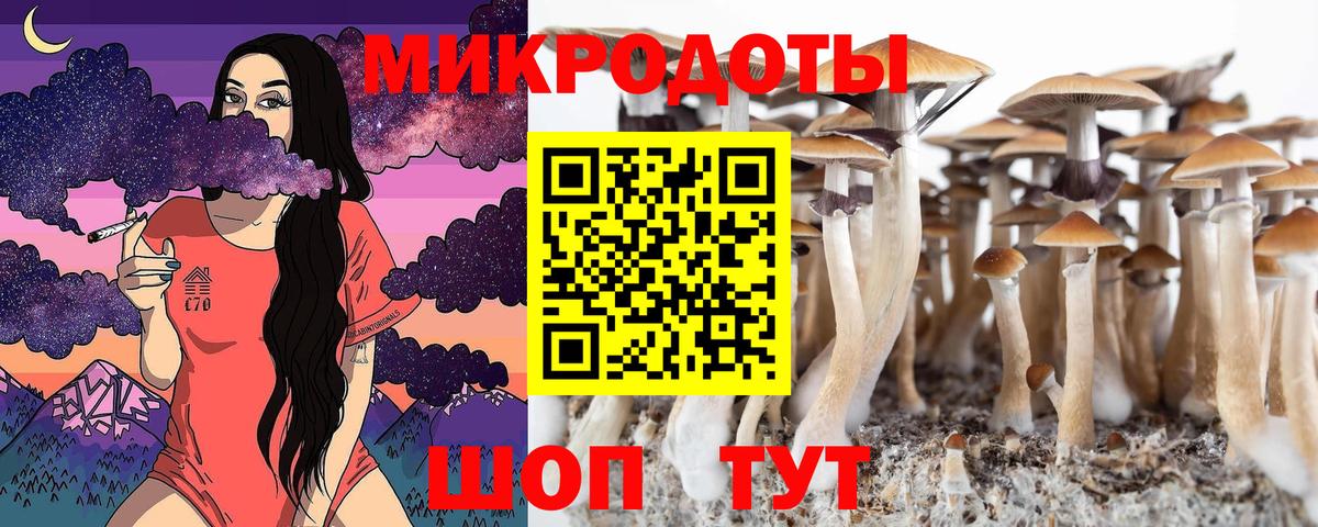 Псилоцибиновые грибы прущие грибы Шелехов