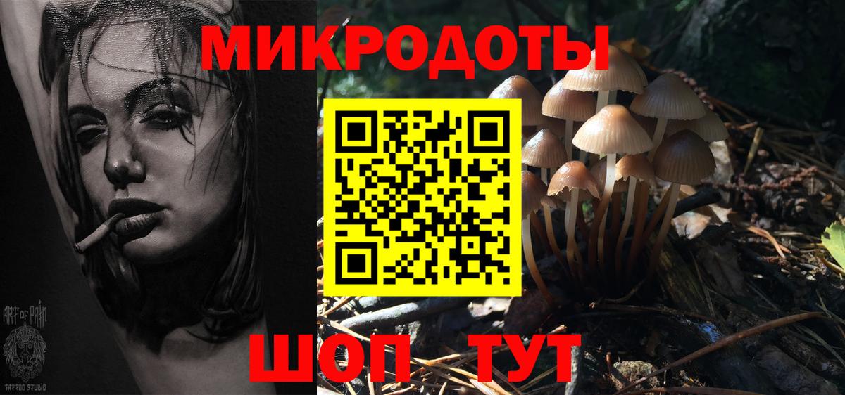 Галлюциногенные грибы мухоморы  Псилоцибиновые грибы ЛСД  Вход с VPN  Шелехов 